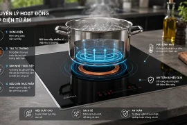 Minh họa bếp điện từ hoạt động theo nguyên lý cảm ứng từ